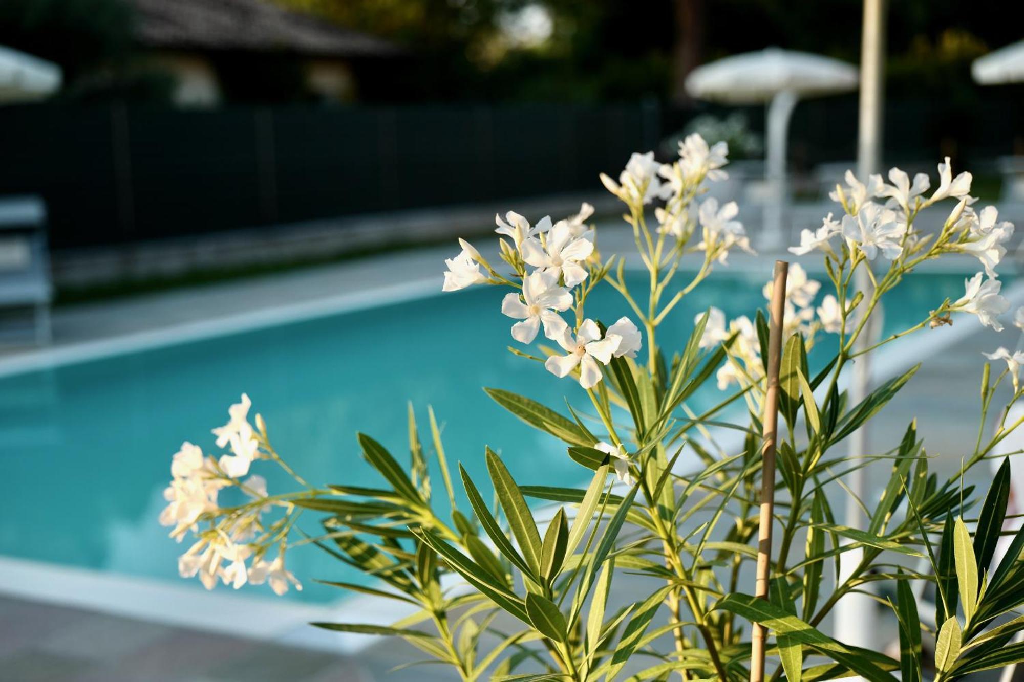 Caterina Residence Faenza Ngoại thất bức ảnh